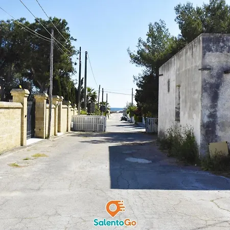 Bahia Ulivo!