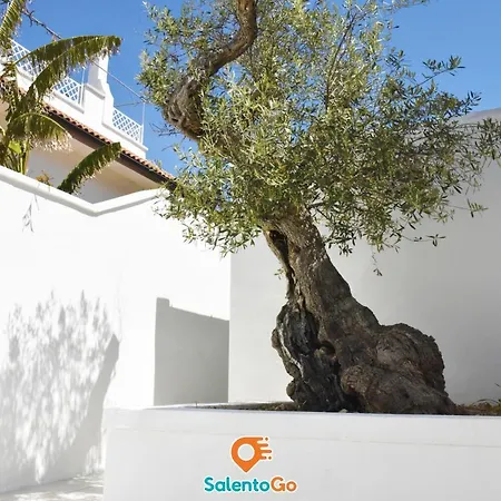 Holiday home Bahia Ulivo By Salentogo *